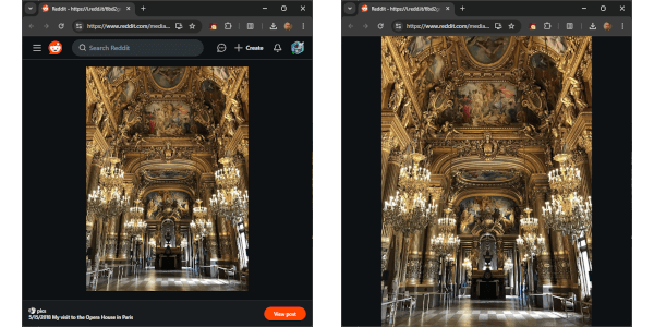 Image demonstrating the hiding of header and footer on Reddit images